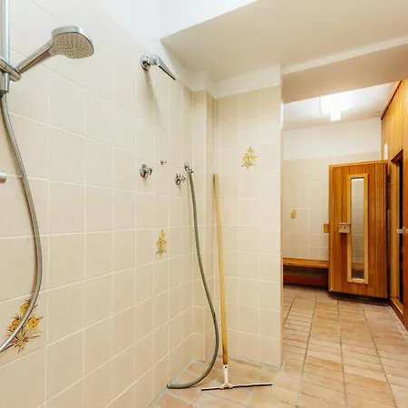 Apartamento Harzglanz Fewo's Ariadel In *